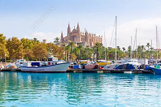 Palma de Mallorca port marina Majorca Cathedral