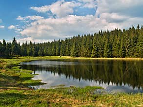 Lake and nature