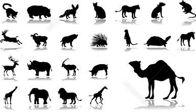 Big set icons - 11. Animals