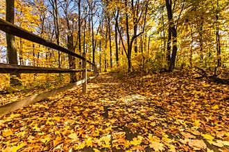 Fall Foliage in Caesar Creek State Park, Ohio