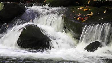 Waters Of Roaring Fork Motor Trail In The Smoky Mountains