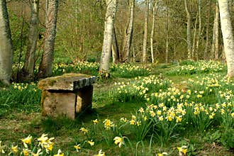 Spring Retreat - Scotland