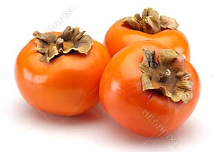 Persimmon
