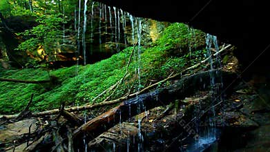 Shades State Park Maidenhair Falls
