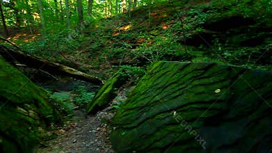Shades State Park Pearl Canyon