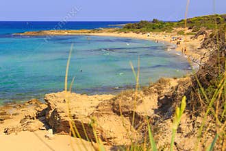 Summertime.Mediterranean maquis: a nature reserve of Torre Guaceto.BRINDISI (Apulia)-ITALY-