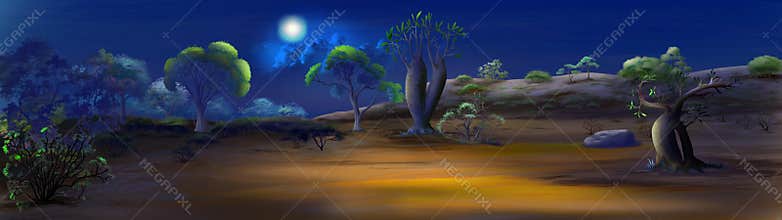 A night in savanna Panorama view.