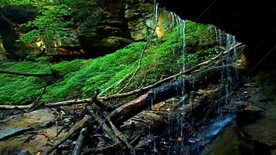 Shades State Park Maidenhair Falls