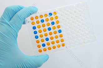 ELISA testing