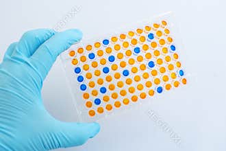ELISA testing