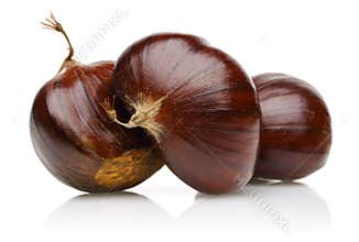 Chestnut