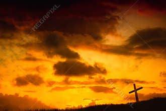 Cross