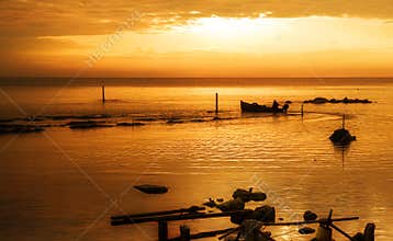 Sailing into golden sea