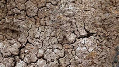Yellow soil with cracks