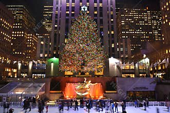 Christmas tree in New York
