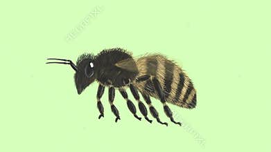 Flying Bee
