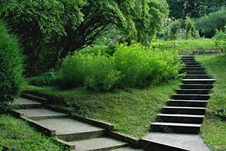 Stairs in the park