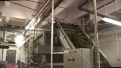 Plant for the production of marine products. Washout seaweed