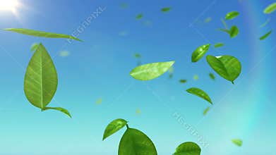 Beautiful Leaves flying in the sky with sun.