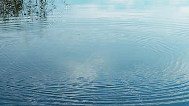 Throw a stone into a lake. Ripple Circle on lake