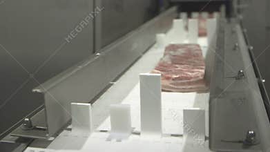 Frozen Meat 2