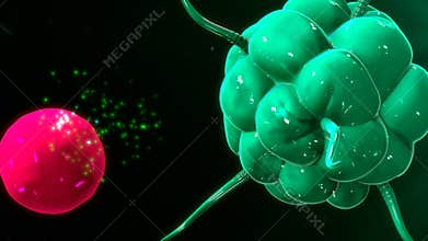 Immune Response
