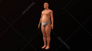 Human Becoming fat to normal