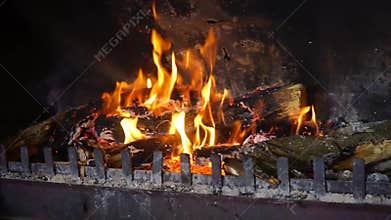 Wood Burning Fireplace Full HD