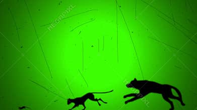 Dog Chase Cat That Chase Mouth in Retro Old Look Style on a Green Screen Background