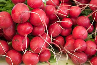 Stack of Red Radishes
