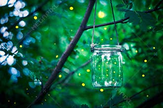 Firefly in a jar