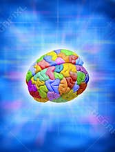 Creative Colorful Brain