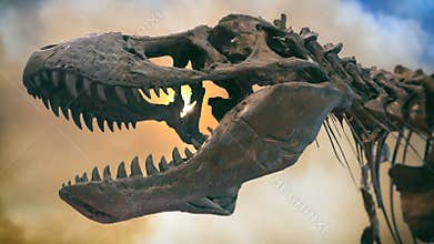Tyrannosaurus Rex Dinosaur Fossil Smoke