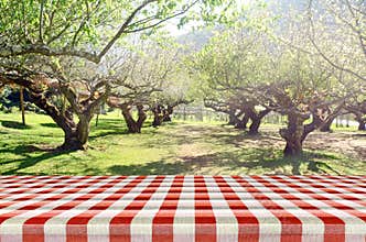Picnic background in summer sun light.