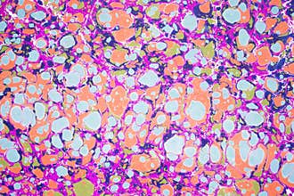 Traditional Turkish marbled paper artwork