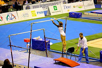 Milan Gymnastic Grand Prix 2008