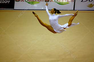 Milan Gymnastic Grand Prix 2008