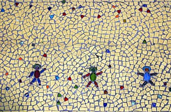 Mosaic Floor Tile