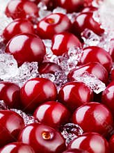 Frozen cherry with ice. Food background