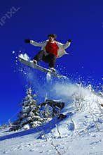 Snowboarder jumping over the tree