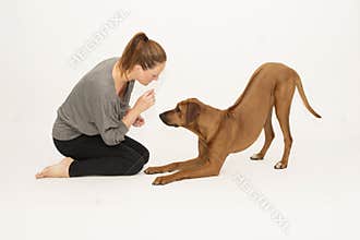 Dog in bow pose receiving reward