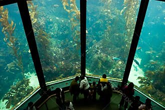 Aquarium 3