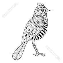 Hand drawn zentangle artistic Bird for adult antistress coloring