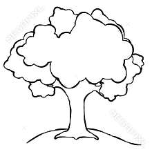 Simple Tree Line Art