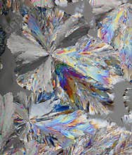 Citric acid crystals macro