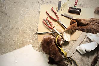 Natural fur