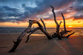 Scenic sunrise, Folly Beach, Charleston South Carolina