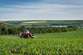 Tractor spraying corn field at sunset.