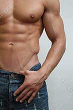 Muscular Male Torso