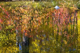 Fall Colors River Reflections Abstract
